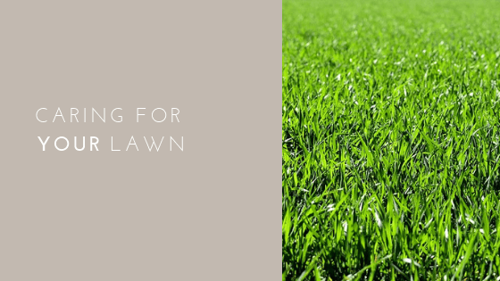 Caring For your Lawn